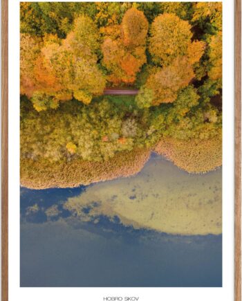 Naturplakat   Plakater Nordjylland   Plakat   Plakatsnedkeren   Drone-plakater