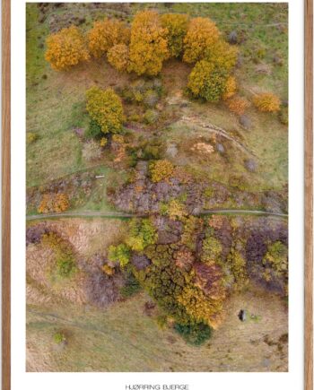 Naturplakat   Plakater Nordjylland   Plakat   Plakatsnedkeren   Drone-plakater