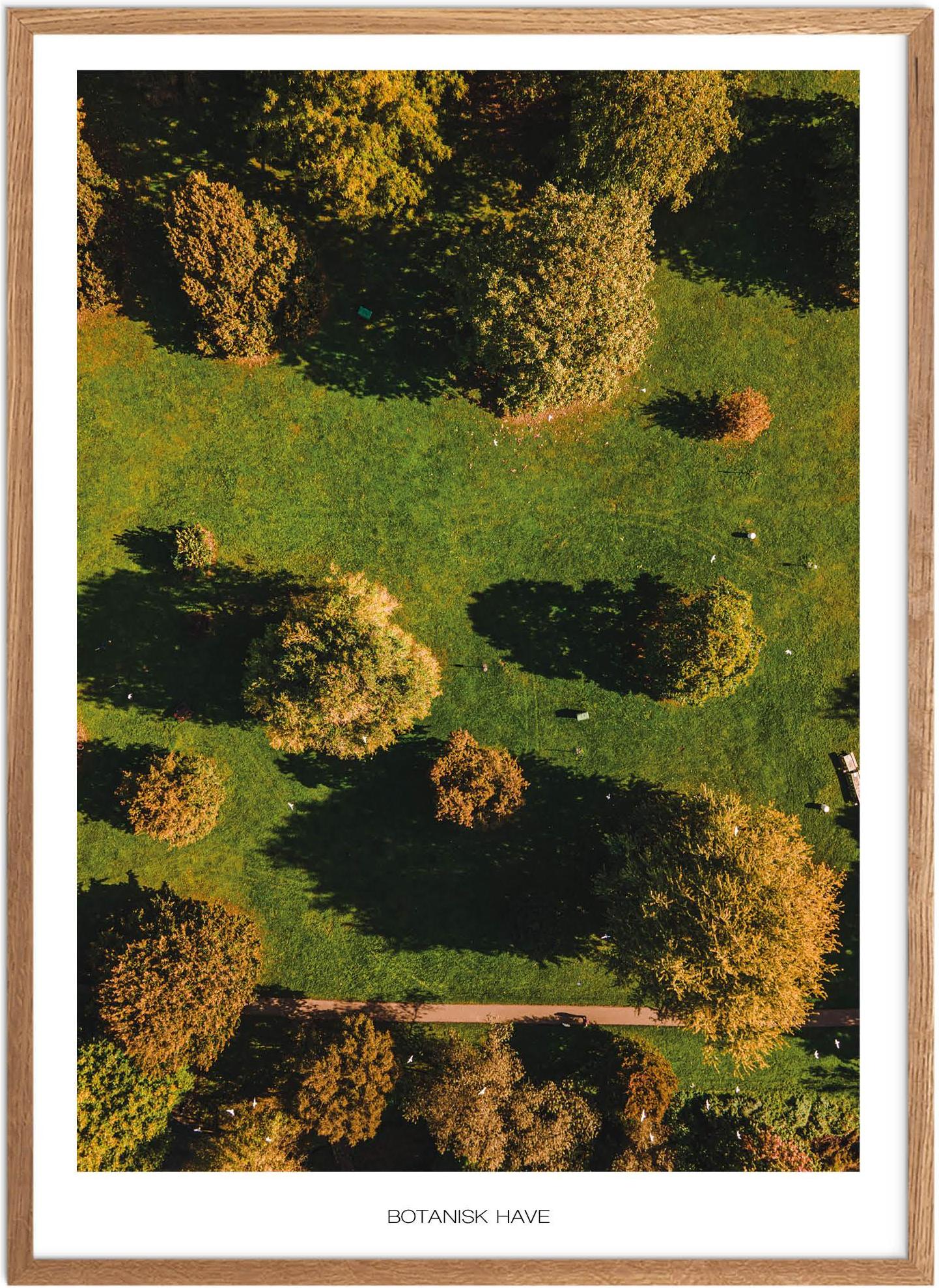 Botanisk Have Plakat   Naturplakat   Plakater Aarhus   Plakat   Plakatsnedkeren   Bestsellere