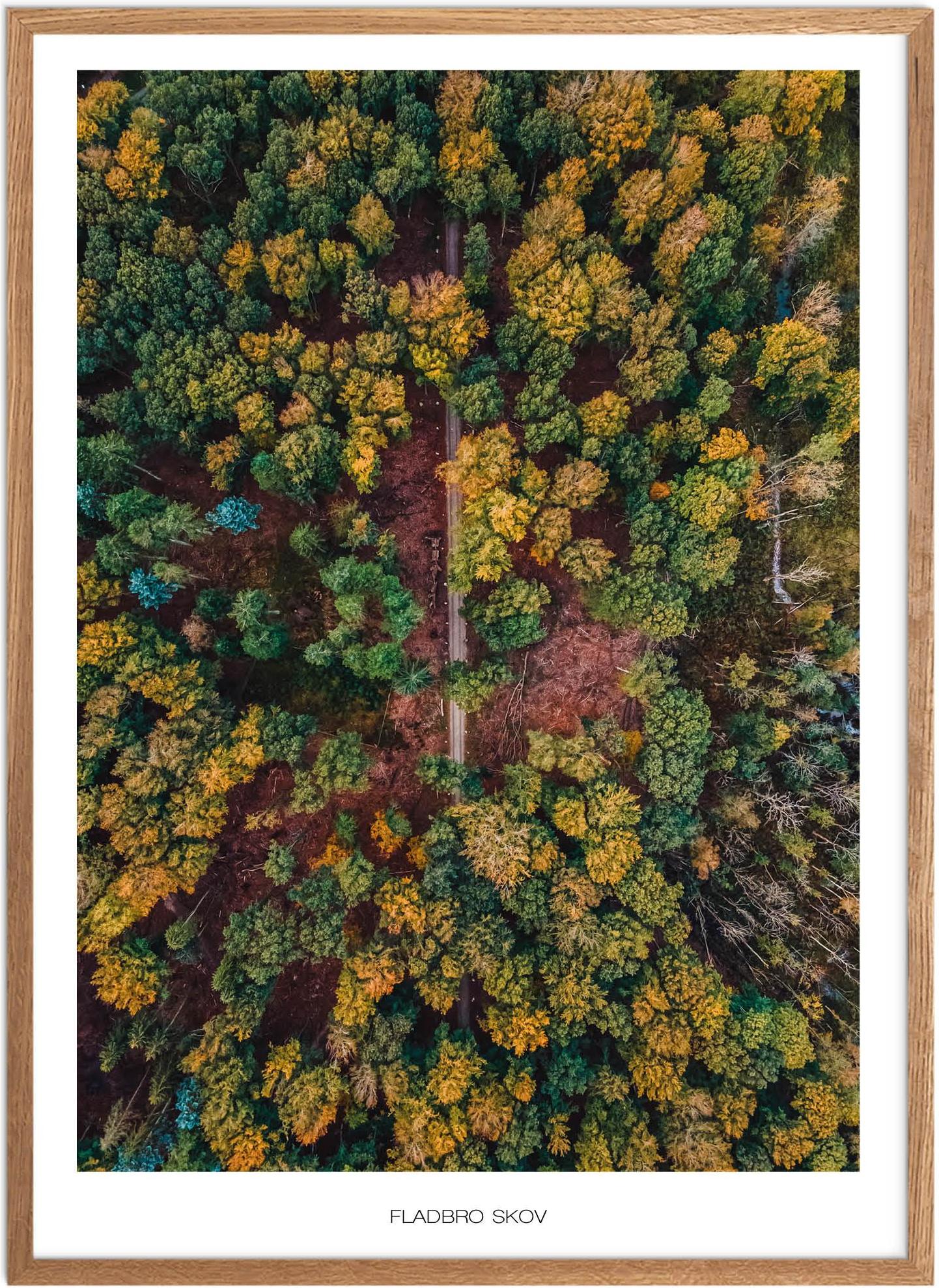 Fladbro Skov Plakat   Naturplakat   Plakater østjylland   Plakat   Plakatsnedkeren   Drone-plakater