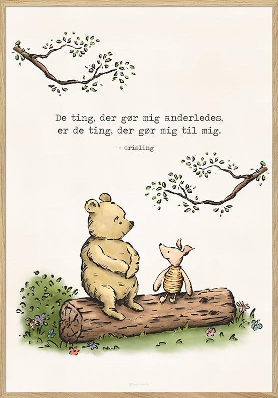 Peter Plys Plakat De Ting