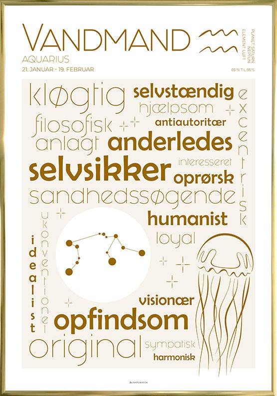 Plakat Stjernetegn Vandmand