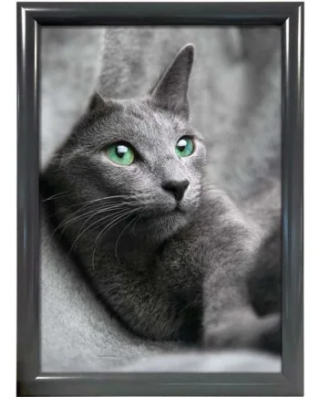 Alu Snap Frame  Antracitgrå  25 Mm Profil  A2