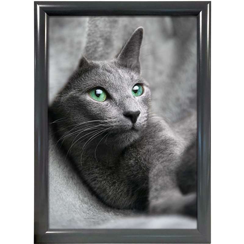 Alu Snap Frame 25mm A1 Antracit