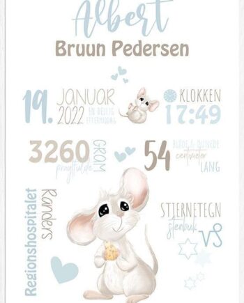 Fødselsplakat Med Mus Til Dreng