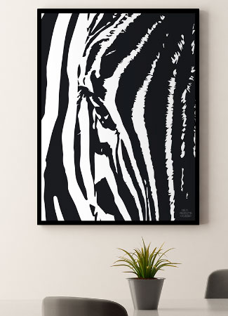 Plakat Med Zebra 21 29 A4 Kr 199 -