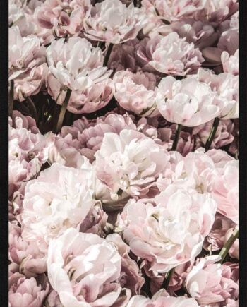 Blomst Plakat