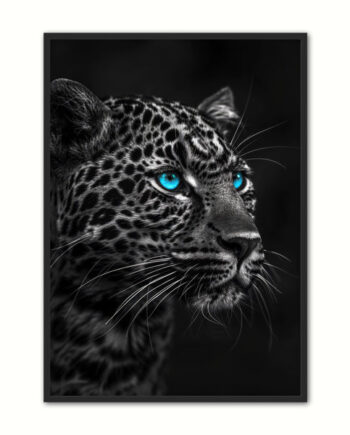 Blue Eyes   Leopard