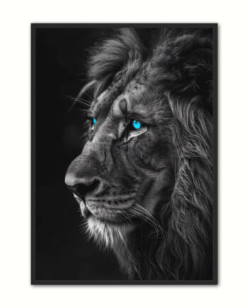 Blue Eyes   Løve