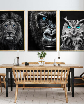Blue Eyes Plakatsæt Gorilla  Ugle Og Løve