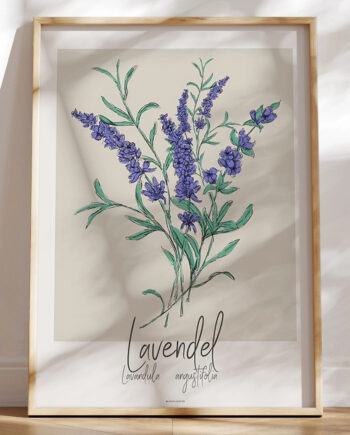 Kunstplakat Lavendel
