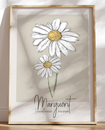 Kunstplakat Marguerit