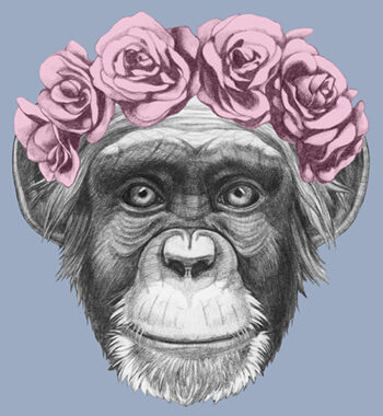 Pretty Little Monkey Af Illux