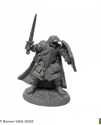 Reaper Bones Usa Dungeon Dwellers: Baran Blacktree  Veteran Warrior Plastic Miniature