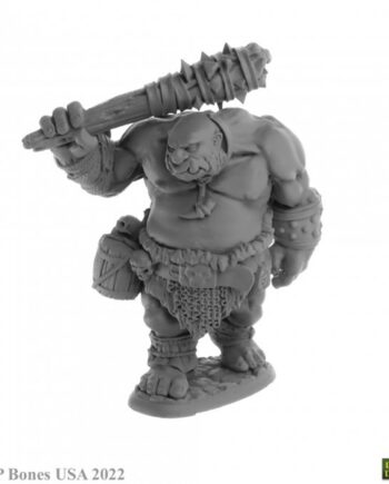 Reaper Bones Usa Dungeon Dwellers: Ogre Guard Plastic Miniature