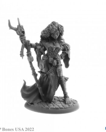 Reaper Bones Usa Reaper Legends: Andowyn Thrushmoor  Human Druid Plastic Miniature