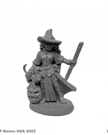 Reaper Bones Usa Reaper Legends: Cynthia The Wicked Witch Plastic Miniature