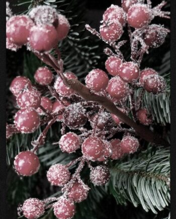 Røde Bær Juleplakat