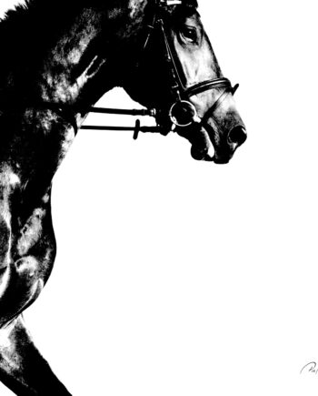 Running Horse Af Pia Roi