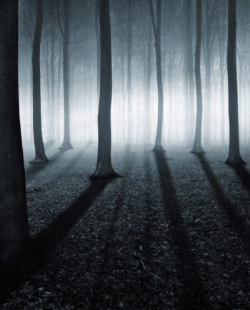 Shining Af Frederik Laugesen