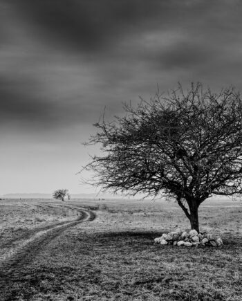 Side Of The Road Af Jakob Evers