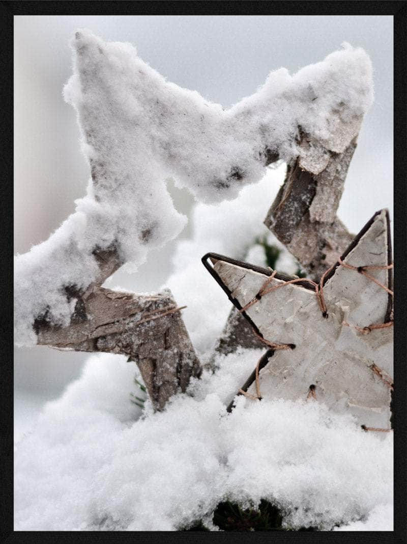 Snedækket Stjerner Juleplakat