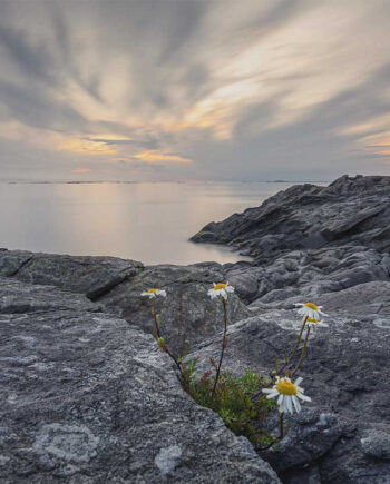 Trollhættan Iii Af Cato Johan Rød Photography