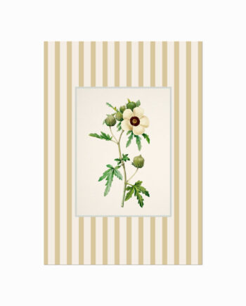 Vintage Cottage 07