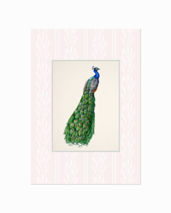 Vintage Cottage 05