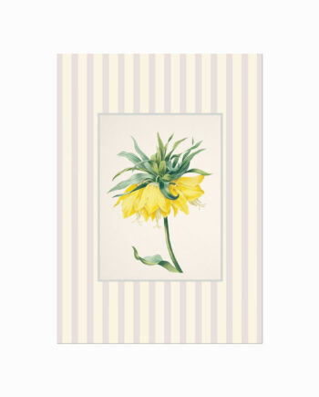 Vintage Cottage 08