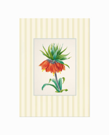 Vintage Cottage 02