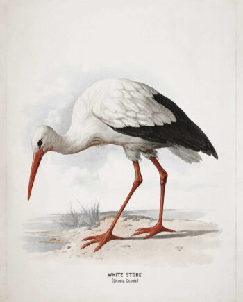 White Stork Af Vintage Vista Designs