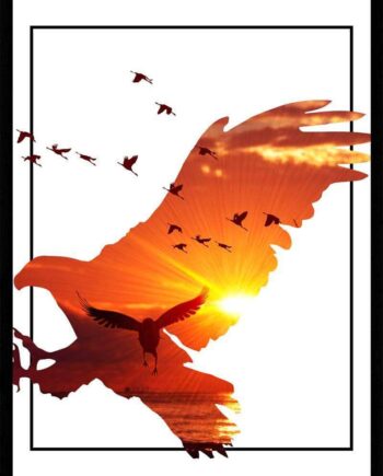ørn   Solnedgang Plakat