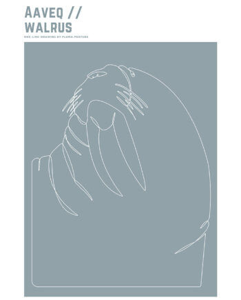 Aaveq Walrus Af Pluma Posters