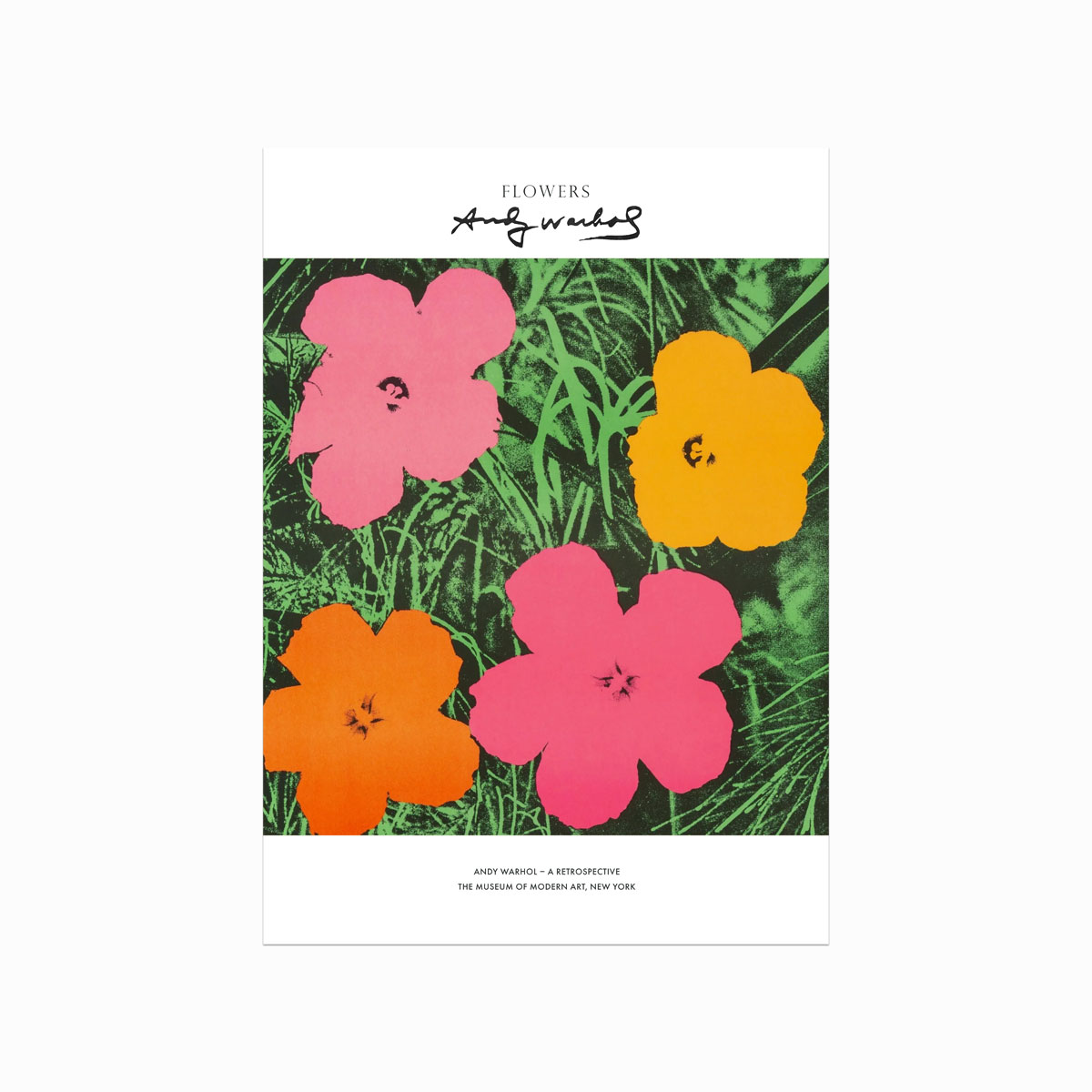 Andy Warhol  Flowers