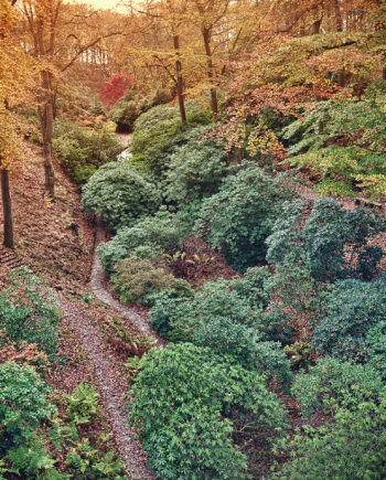 Autumn Af Gustavo Orensztajn