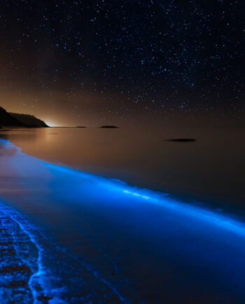 Bioluminescence At The Danish Coastline Af Daniel Faisst