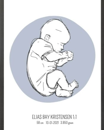 Birth Poster   Fødselsplakat  :  Fosterstilling Blå
