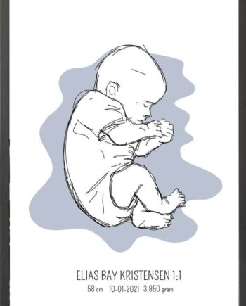 Birth Poster   Fødselsplakat  :  Fosterstilling Blå