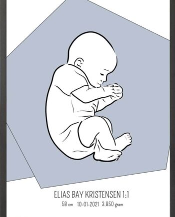 Birth Poster   Fødselsplakat  :  Fosterstilling Blå