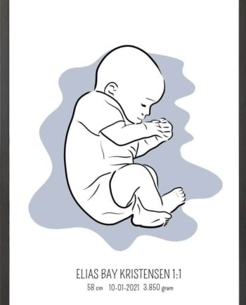 Birth Poster   Fødselsplakat  :  Fosterstilling Blå