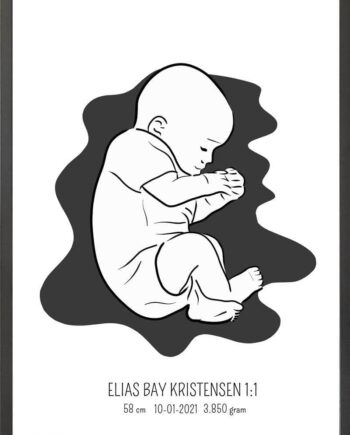 Birth Poster   Fødselsplakat  :  Fosterstilling Blå