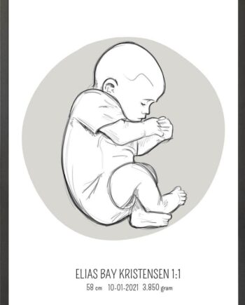 Birth Poster   Fødselsplakat  :  Fosterstilling Blå