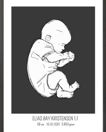 Birth Poster   Fødselsplakat  :  Fosterstilling Lyserød