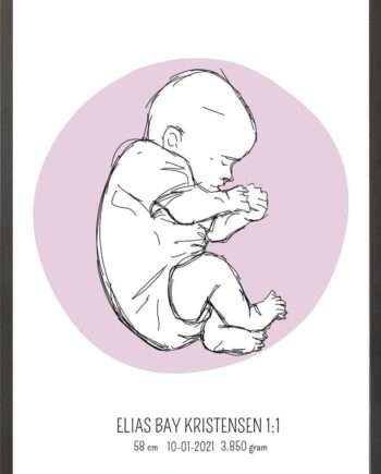 Birth Poster   Fødselsplakat  :  Fosterstilling Lyserød