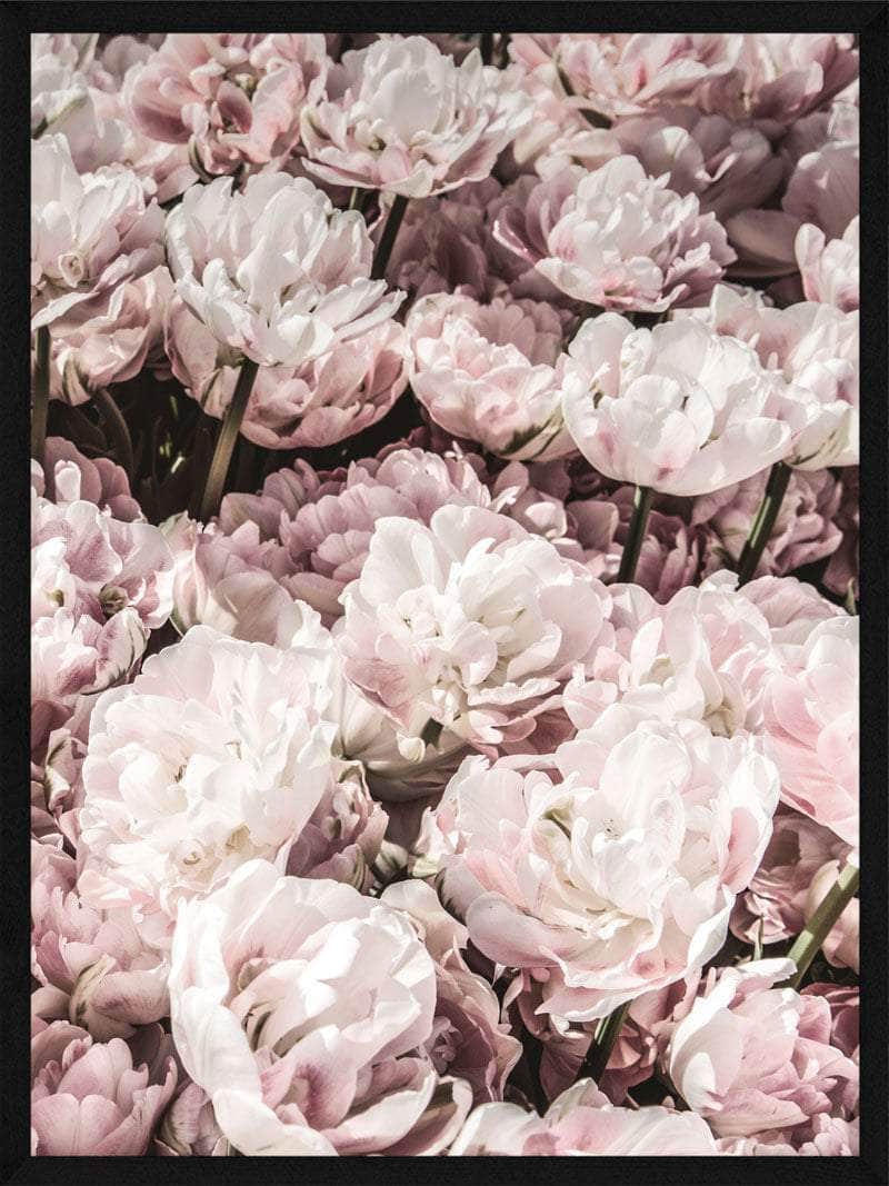 Blomst Plakat