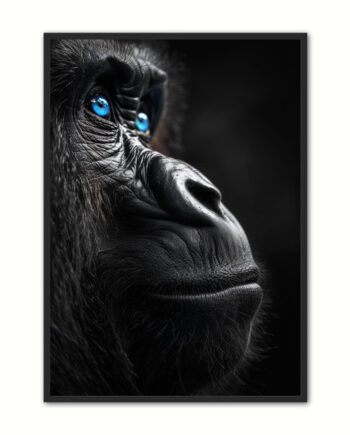 Blue Eyes 20 Gorilla