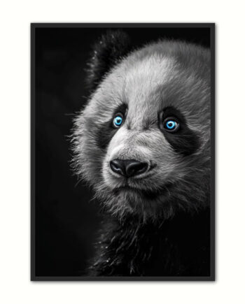Blue Eyes 18 Panda