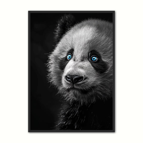Blue Eyes 18 Panda