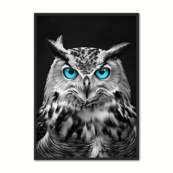 Blue Eyes   Ugle